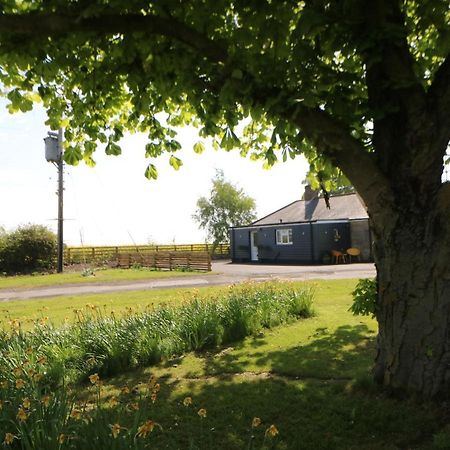 The Bungalow نيوكاسل أبون تاين المظهر الخارجي الصورة